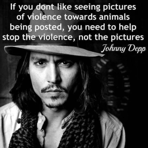 J Depp
