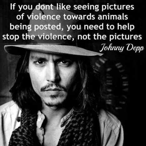 J Depp