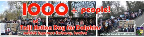 london taiji feb