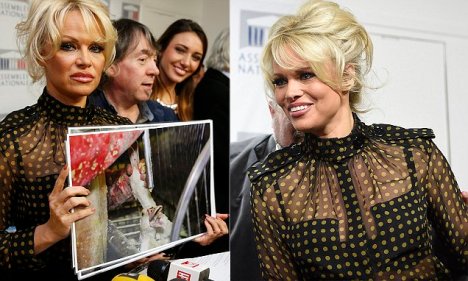 Pamela Anderson (L), actress and animals rights defender, Michel Vandenbosch (C), co-founder of the Belgian animal welfare organisation, Global Action in the Interest of Animals (GAIA), and former Miss France Delphine Wespiser (R) attend a news conference at the National Assembly to protest the force-feeding of geese used in the production of foie gras, in Paris, France, January 19, 2016. REUTERS/Philippe Wojazer