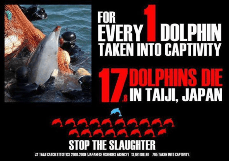 taiji 9