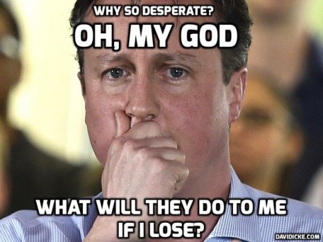 cameron what will they do