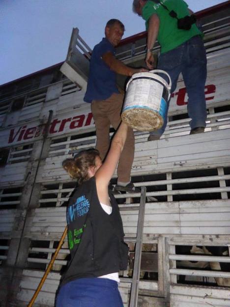 12733603_977538475661977_4872416753147808253_n