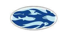turtle logo