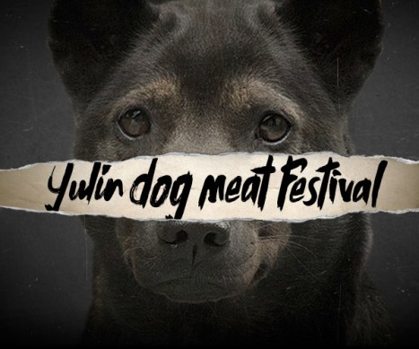 yulin 1