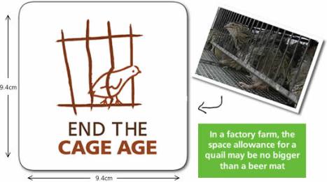 end the cage quail