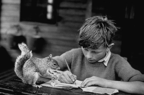 1944: A boy doing his school lessons watched by his pet squirrel. (Photo by Hulton Archive/Getty Images)