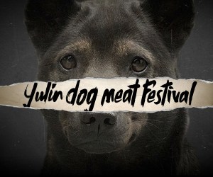 yulin 1