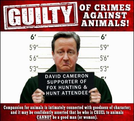 cameron guilty