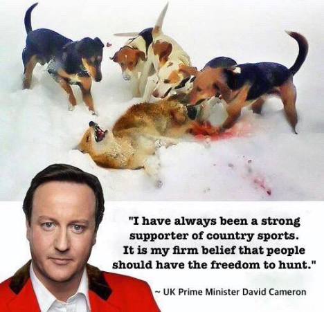 Cameron quote