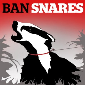 LACS Ban Snares