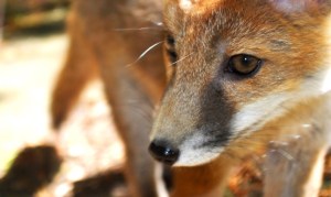 ????????????????????????????????????