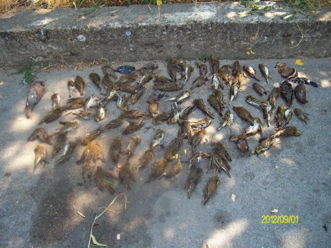 PENTACON DIGITAL CAMERA