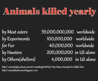 animals killed