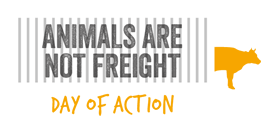 animals not freight
