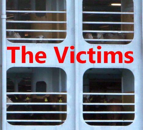 aus exports jan 16 3