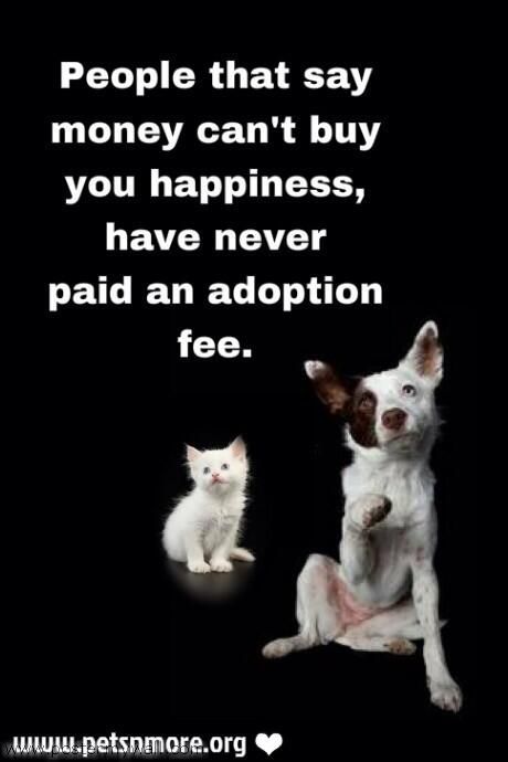 adoption