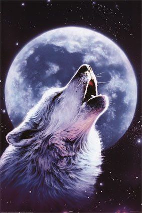 howlingwolfmoon graphic