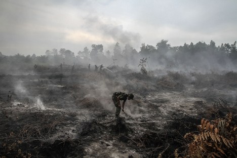 Indonesian military personnel spray water on a burned forest area at Rimbo Panjang Village, Kampar, Riau, Indonesia on Aug. 6. 2015.