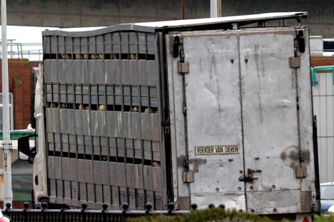 onderwater-dover-2nd-may-2013