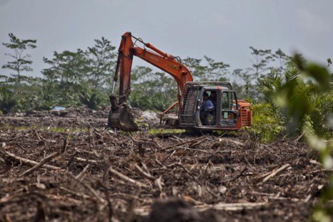 An excavator constructs a canal in recently cleared land in an oil palm concession owned by PT Andalan Sukses Makmur (PT ASMR) concession, a subsidiary of Bumitama Agro Ltd. The area is near Kumai Seberang village, next to Tanjung Puting National Park in Central Kalimantan.