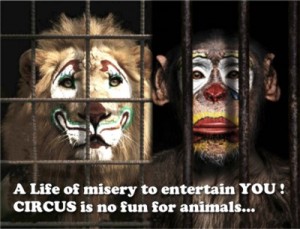 circus-is-no-fun-for-animals