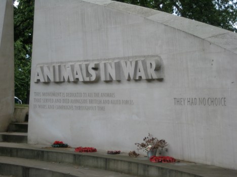animals-in-war-4
