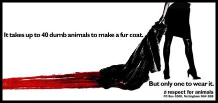 dumb-animals-fur-coat