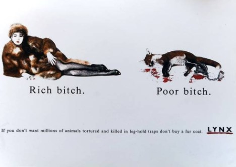 rich-bitch-poor-bitch