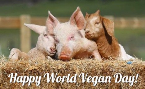 vegan-day-2