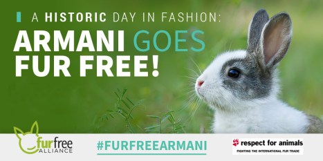 armani-fur-free