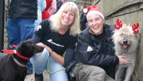 jill-xmas-animals-asia