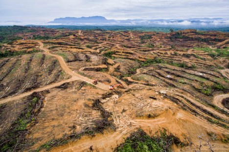Aerial view of the recently land clearing by PT. Agra Bumi Niaga. Peunaron Village. East Aceh, Indonesia. 13/01/2017 Latitude: 4° 34' 1.062" N Longitude: 97° 41' 11.73" E