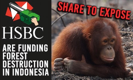 hsbc-destruction-indonesia