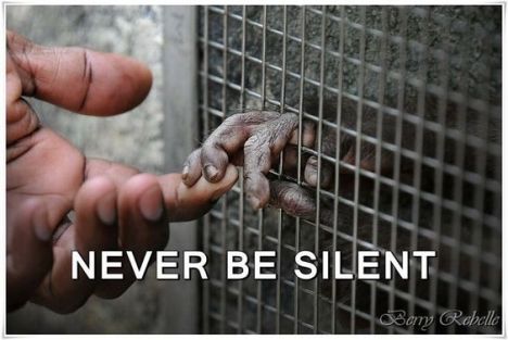 never-be-silent