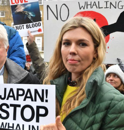 carrie symonds dolphin hunt protest.jpg