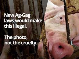 Ag Gag 1