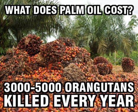 palm oil cost.jpg