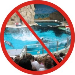 delfinarium verbot verbot